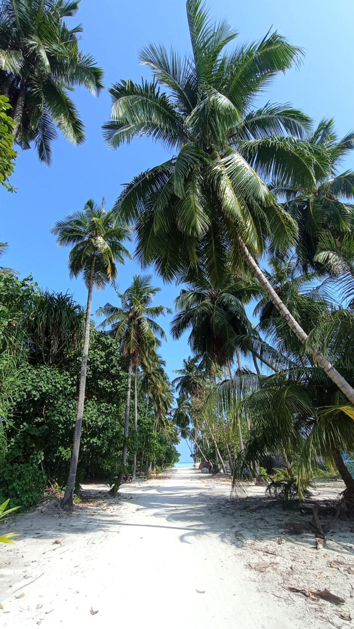 Ahiva Village フルハッドホー エクステリア 写真